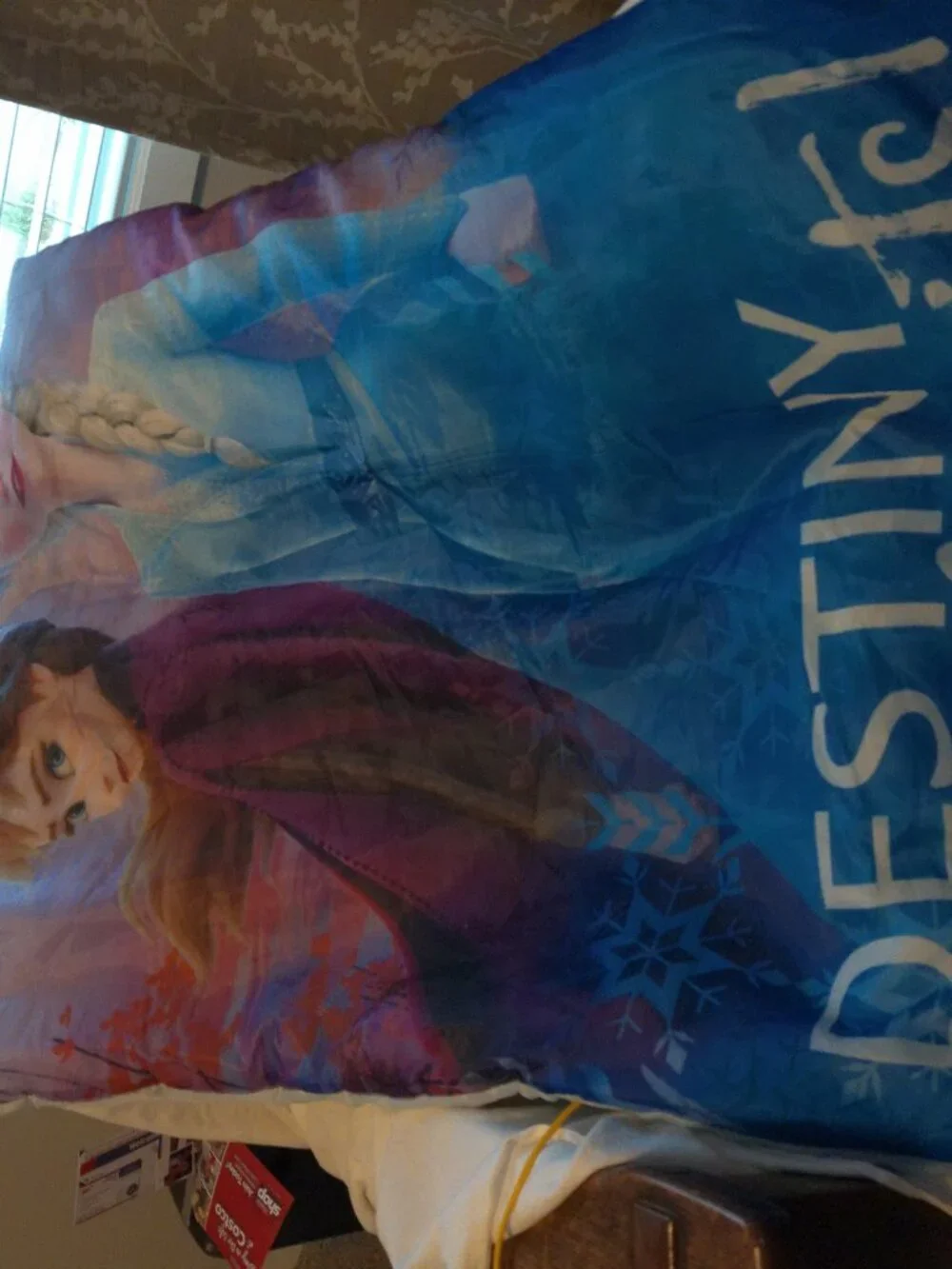 Disney Frozen II Slumber Bag & Travel Bag EUC
